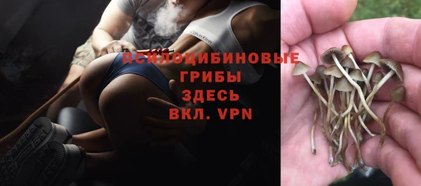 кокс Алексеевка