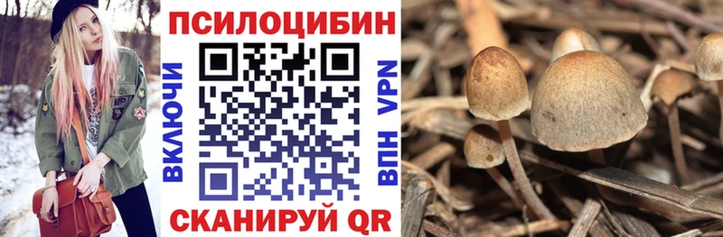 Галлюциногенные грибы мухоморы  где можно купить наркотик  Анжеро-Судженск 